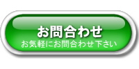 新規オープン飲食店データ問合わせ